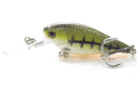 Deep Diving Crankbait BSS549