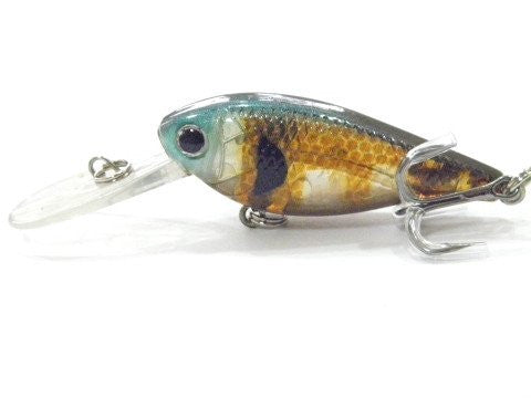 Deep Diving Crankbait BSS549