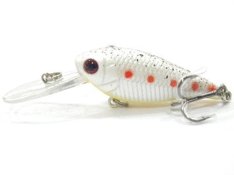 Deep Diving Crankbait BSS549