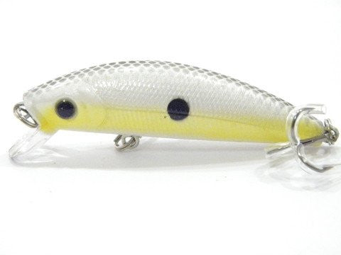 Shallow Water Minnow Jerkbait BSS219