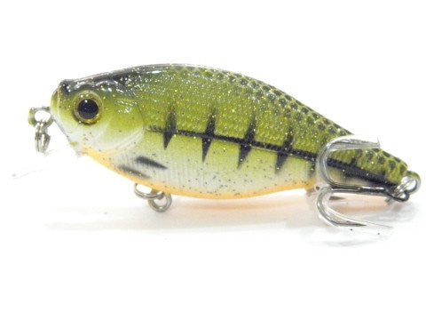 Shallow Diving Slow Moving Crankbait BSS547