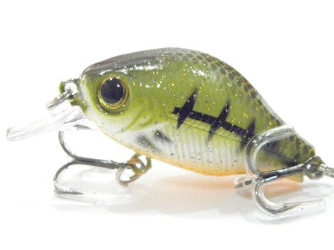 Shallow Water Crankbait BSS564