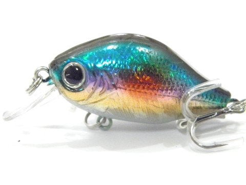 Shallow Water Crankbait BSS564