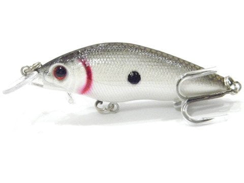 Shallow Water Crankbait BSS583