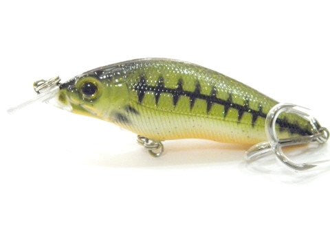 Shallow Water Crankbait BSS583