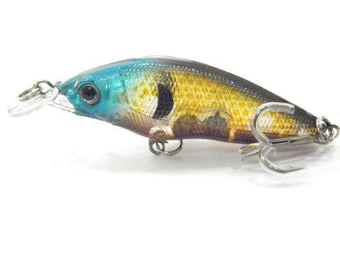 Shallow Water Crankbait BSS583