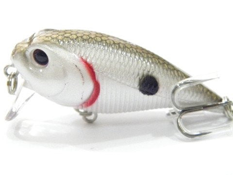 Shallow Water Crankbait BSS655