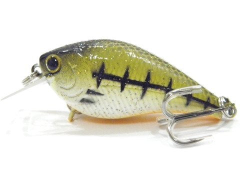 Shallow Diving Slow Moving Crankbait BSS658