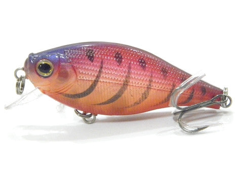 Shallow Diving Slow Moving Crankbait BSS547